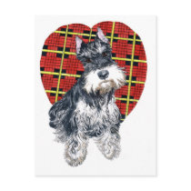 Sybil the Schnauzer Postcard
