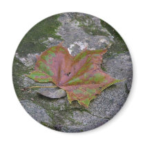 Sycamore Leaf magnets by Renn_Fare Sycamore Leaf magnets