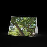 Sycamore Tree Card