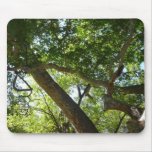Sycamore Tree Mousepad