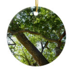 Sycamore Tree Ornament