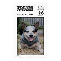 Sydney 2 postage