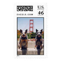 Sydney and Chucky - Golden Gate Bridge Postage Stamp