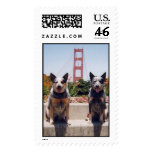 Sydney and Chucky - Golden Gate Bridge postage