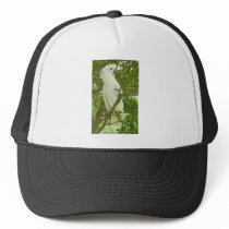 Sydney Cockatoo hats by Natures_Whisper Sydney Cockatoo hats