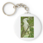Sydney Cockatoo Keychains