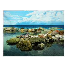 Sydney Great Barrier Reef Post Cards