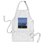 Sydney Harbor Bridge, Sydney, Australia Aprons