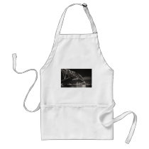 Sydney Harbour Bridge Apron