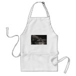 Sydney Harbour Bridge aprons