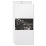 Sydney Harbour Bridge Customized Rack Card