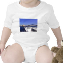 Sydney Harbour t-shirts