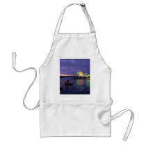 Sydney Opera House and harbor at dawn, New South W Aprons
