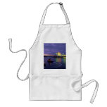 Sydney Opera House and harbor at dawn, New South W Aprons