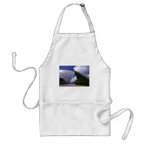 Sydney Opera House aprons
