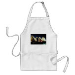 Sydney Opera house Aprons