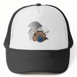 sydney opera house hats