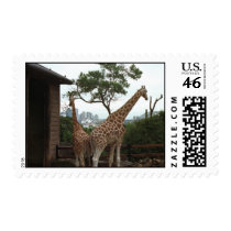 Sydney Opera House Stamp
