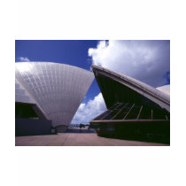 Sydney Opera House t-shirts