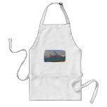 Sydney Opera House with Fence Apron