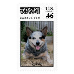 SYDNEY postage