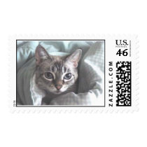 Sydney postage