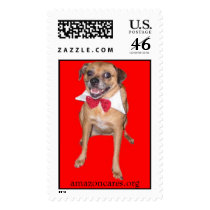 Sydney Stamp - Precious Dogs Collection