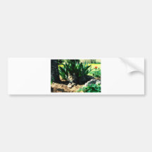 Sylvester 3 bumper sticker