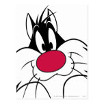 Sylvester Red Nose Face Postcards