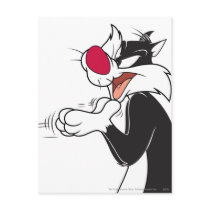 Sylvester Rubbing Paws Post Card