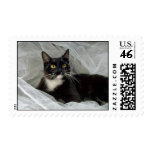 Sylvester's Boudoir Stamp