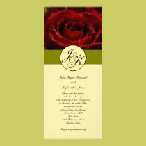 Symbol of Love Red Rose Invitation invitations