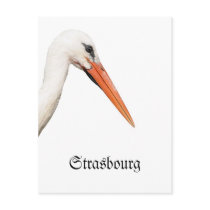 Symbol Of Strasbourg, Alsace Postcard