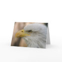 Symbol of Strength. Card by cARTerART
