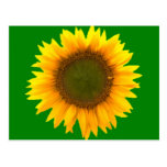 Symbolism of Light Post Card