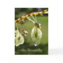 Sympathy 107 cards by Andy2302 Sympathy 107 cards