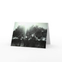 Sympathy Card card