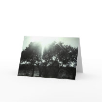 Sympathy Card