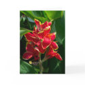 Sympathy Card by TDSwhite Sympathy Card