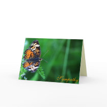 Sympathy cards by TDSwhite Sympathy cards