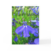 Sympathy cards