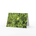 sympathy card by DreamElis sympathy card