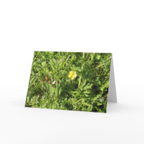sympathy card by DreamElis sympathy card