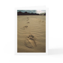Sympathy Card cards