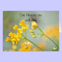 Sympathy Card cards