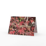 Sympathy card-customize