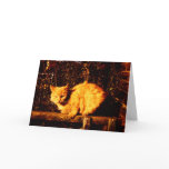 Sympathy Card for Cat Owner