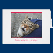 Sympathy Card for loss of Kitty cards