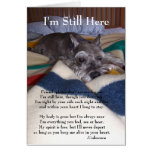 dog, schnauzer, sympathy, card, loss, pet, rescue,