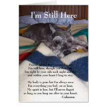 Sympathy Card for Loss of Pet cards